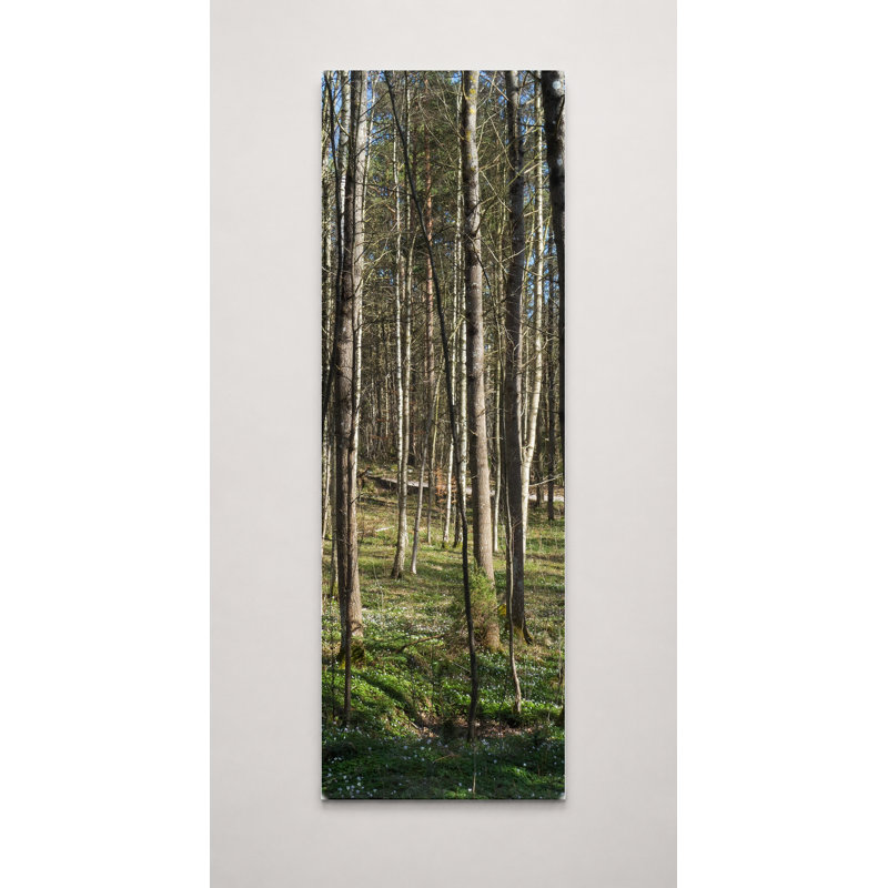Forêt de bouleaux (1903) - art mural sur toile, 72" W x 24" H