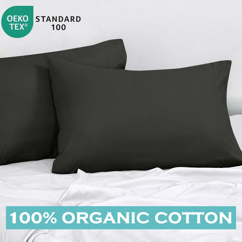 ROYALE LINENS 300 Thread Count 100% Long Staple Combed Cotton Pillowcases Set of 2 - Ultra Soft - Standard Bed Pillow Cover - 20"x26" - Breathable, Cool & Crisp Percale Pillow Case (Std, Lake Blue)