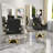 Hydraulic Salon Chair (Single Pack)