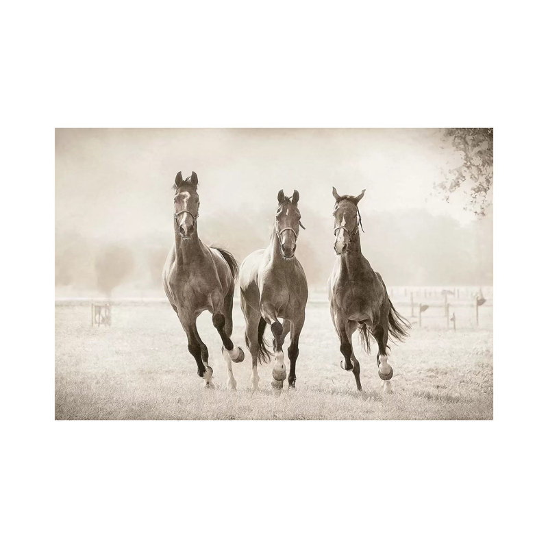 The Young Ones by Lars Van De Goor - Print on Canvas, Wrapped Canvas, 66.04 cm H x 45.72 cm W x 1.91 cm D