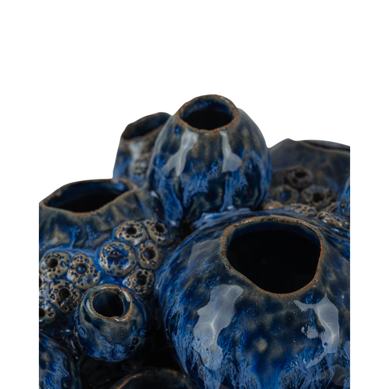 Sulawasi Blue Shells