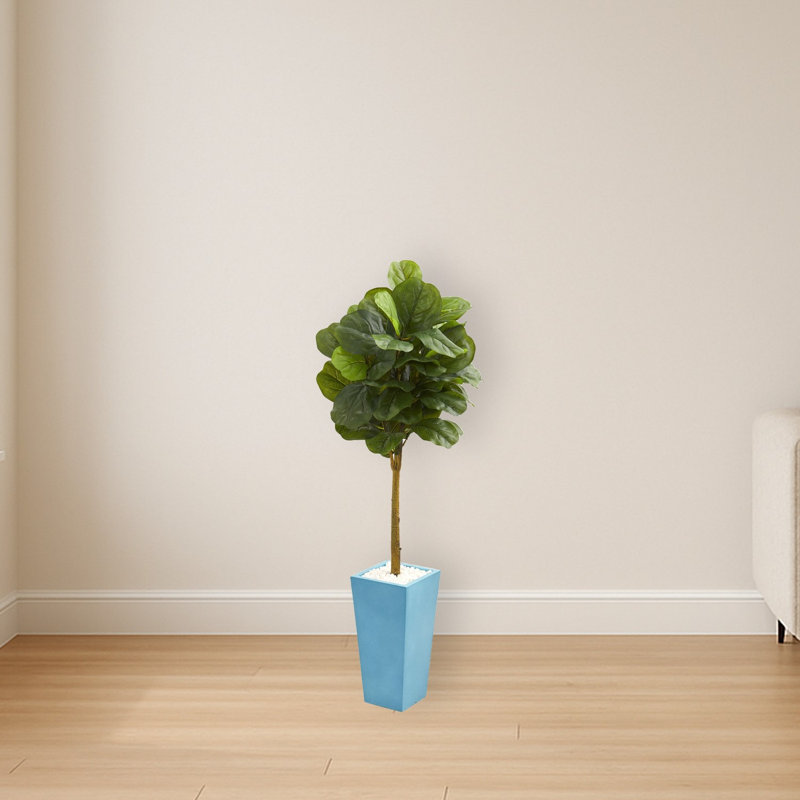 Fiddle Leaf Tree in Turquoise Planter