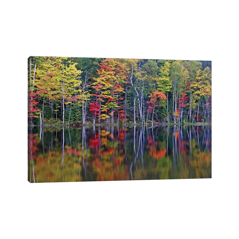 Reflections On Council Lake by Brian Wolf - Wrapped Canvas Print