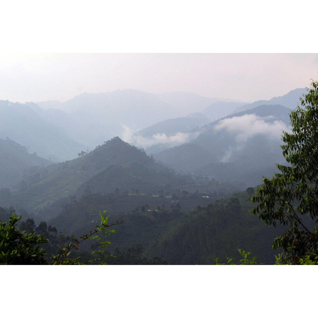 Uganda: Die Berge des Bwindi Impenetrable Forest von Goddard_Photography - Drucken