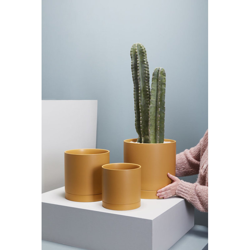 Pot de fleurs en céramique Carlotta, H 10 po x l 10 po x P 10 po, Ocre