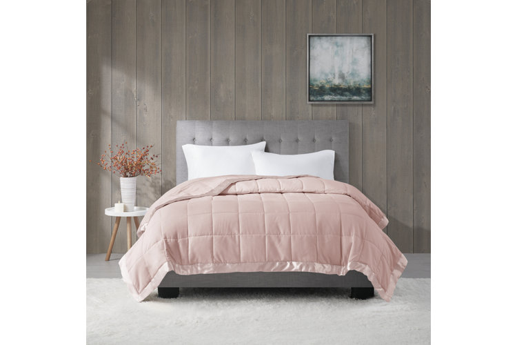 Wayfair  Pink Scales You'll Love in 2023