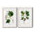 White Framed Paper is unavailable