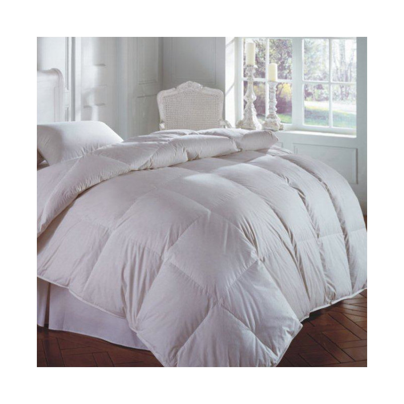 Édredon en duvet d'oie d'hiver Hidalgo, Grand