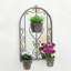 Cordelia Arch Mirror