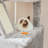 206cm H Cat Tree-57341744-105628841