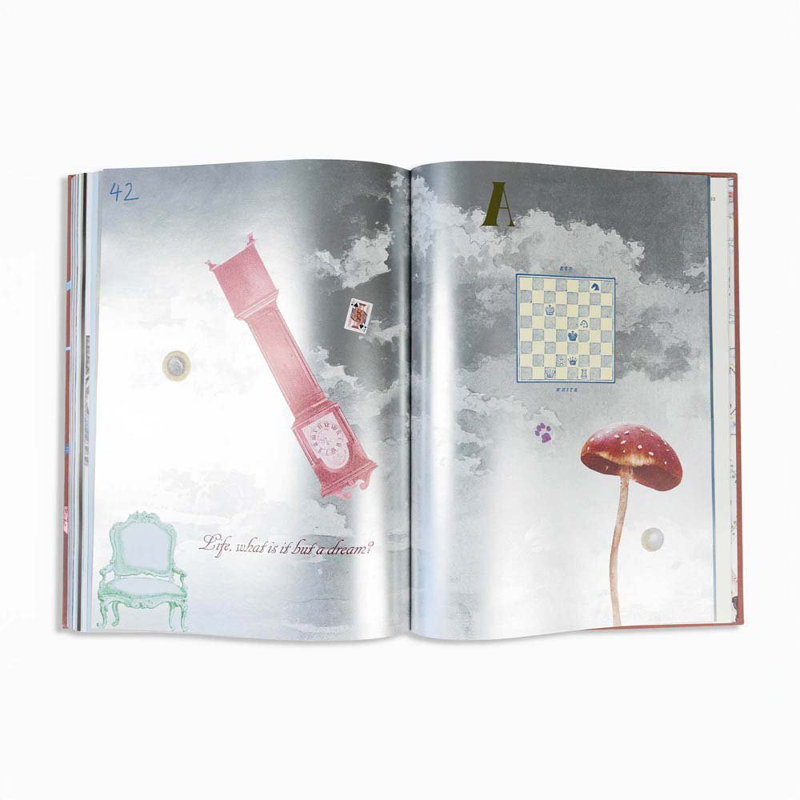 Alice in Wonderland Art NovelTM