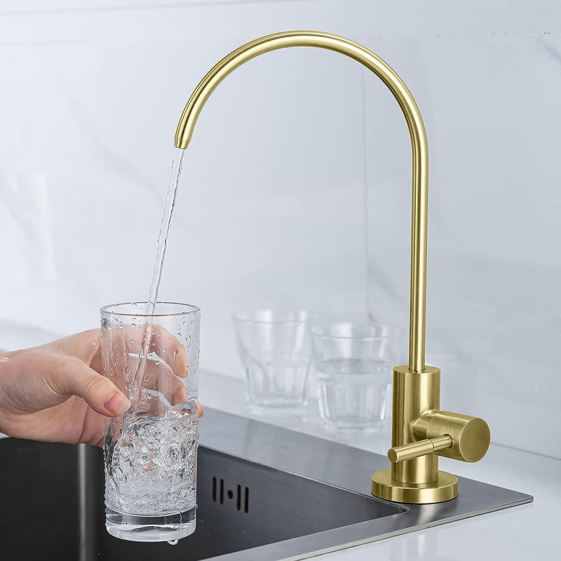 Evoio Kitchen Faucet, Gold 