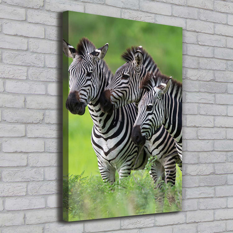 Three Zebras - Wrapped Canvas Print