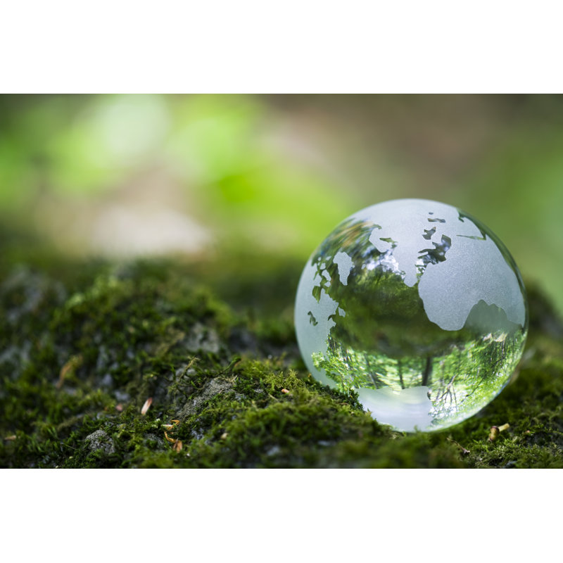 Globe terrestre sur un rocher de mousse par Ooyoo, H 8 po x l 12 po