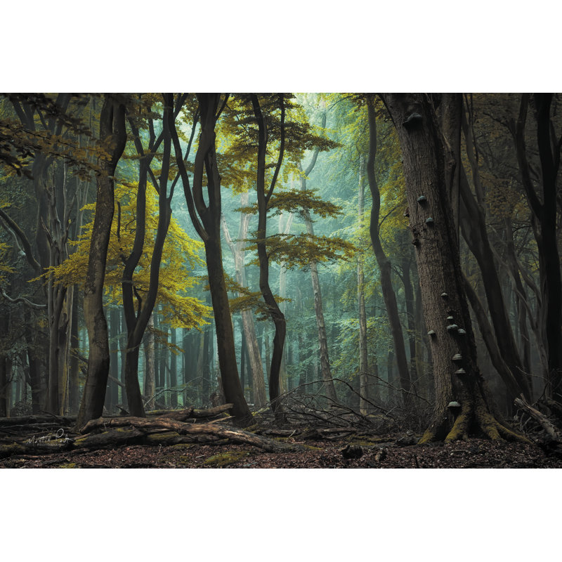 Le portail sur toile par Martin Podt, reproduction, H 24 po x l 36 po