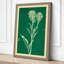 Cream Carnation Study Botanical - Wrapped Canvas-1116235535-1116235575