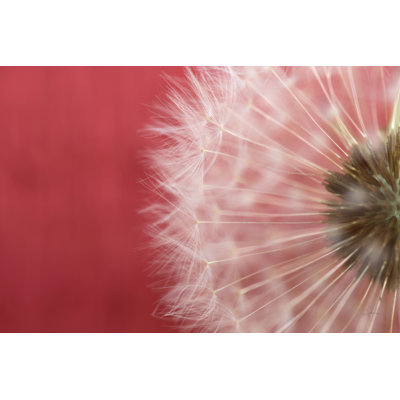 «Nurse Inspiration II Color» par Aledanda - impression sur toile tendue