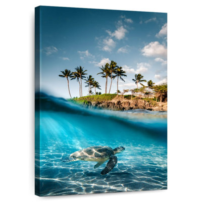 Land And Sea Turtle
