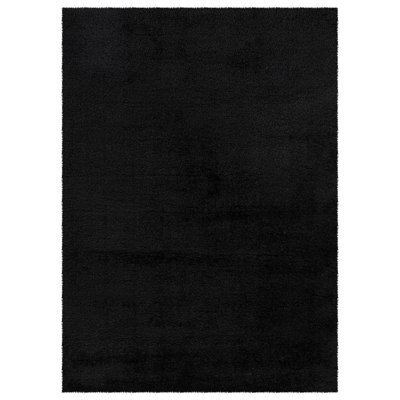 Biamonte Shag Indoor / Outdoor Area Rug