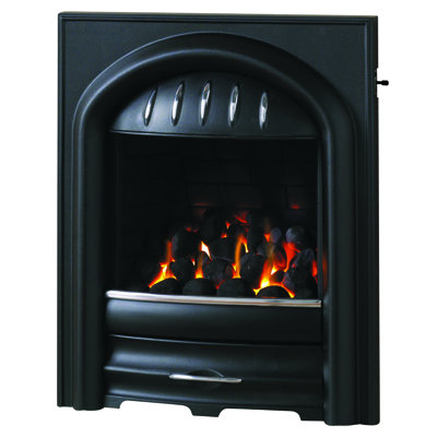 Sofia 54cm W Natural Gas / Propane Fireplace Insert
