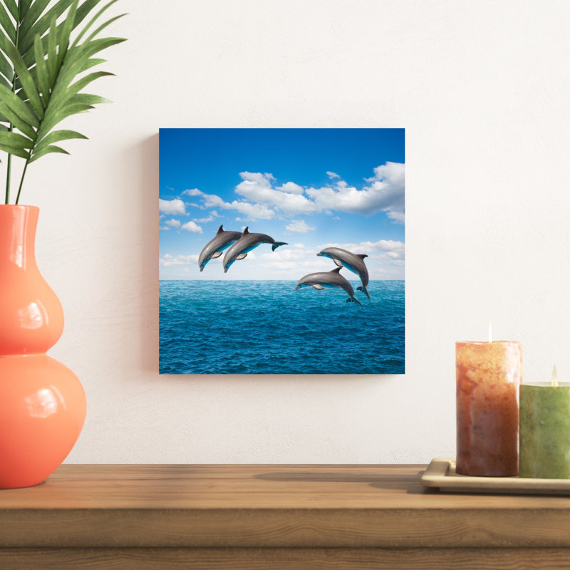 Paquet de dauphins sauteurs - Photographie sur toile, H 12 po x l 12 po