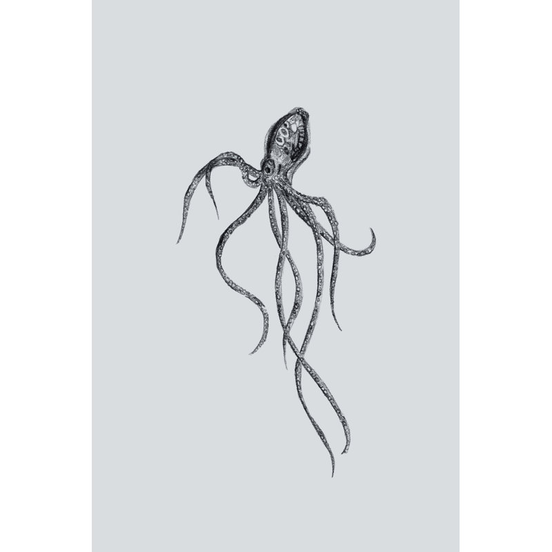 Marine Life IV by Melissa Wang - Wrapped Canvas Print, 91cm H x 61cm W