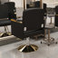 Fauteuil de coiffeur pivotant à 360 ° - Fauteuil de coiffeur professionnel avec pompe, fauteuil de coiffure non inclinable pour équipement de salon de beauté Spa Spa (lot de 1)