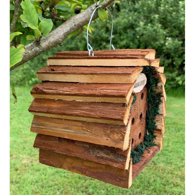 Ehsan Hanging Ladybird House