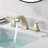 2-handle Bathroom Faucet with Drain Assembly-50749538