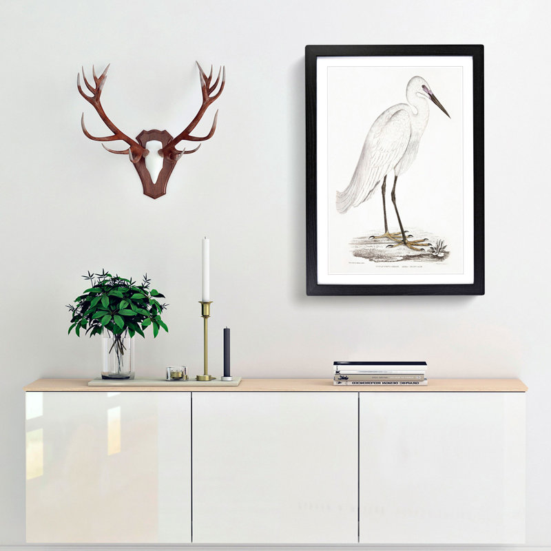 White Heron by John Edward Gray - Framed Print, 65cm H x 48cm W x 2cm D, Black Framed