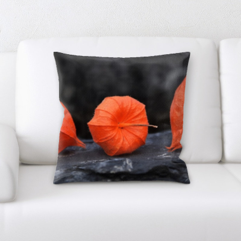 Archibald Microsuede Reversible Throw Pillow