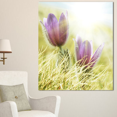 «Large Purple Flowers in Green Grass», reproduction de photo sur toile tendue