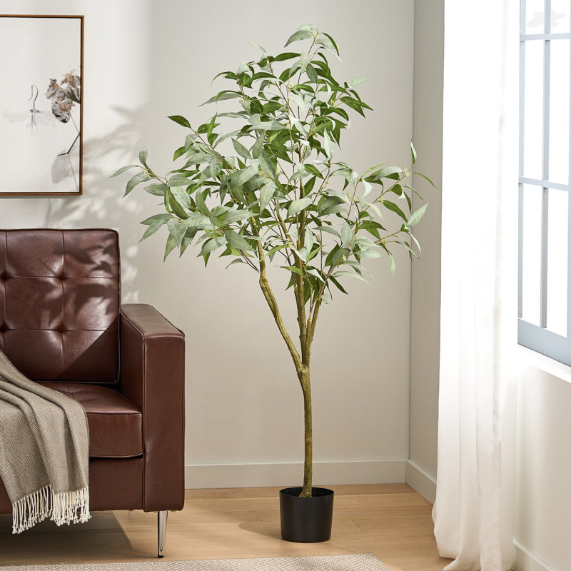 Bonsaï artificiel en feuilles d'eucalyptus, H 62,93 po x l 27,63 po x P 24,45 po