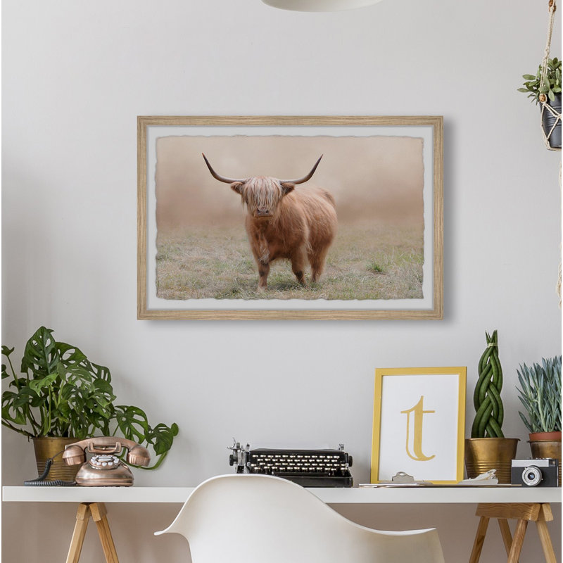 Foggy Pasture - Single Picture Frame Print, 61cm H x 91cm W x 3.81cm D