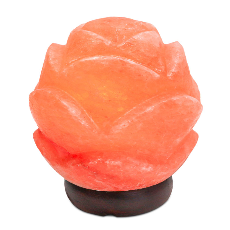 7 Lb. Plants & Flowers Themed Salt Lamp
