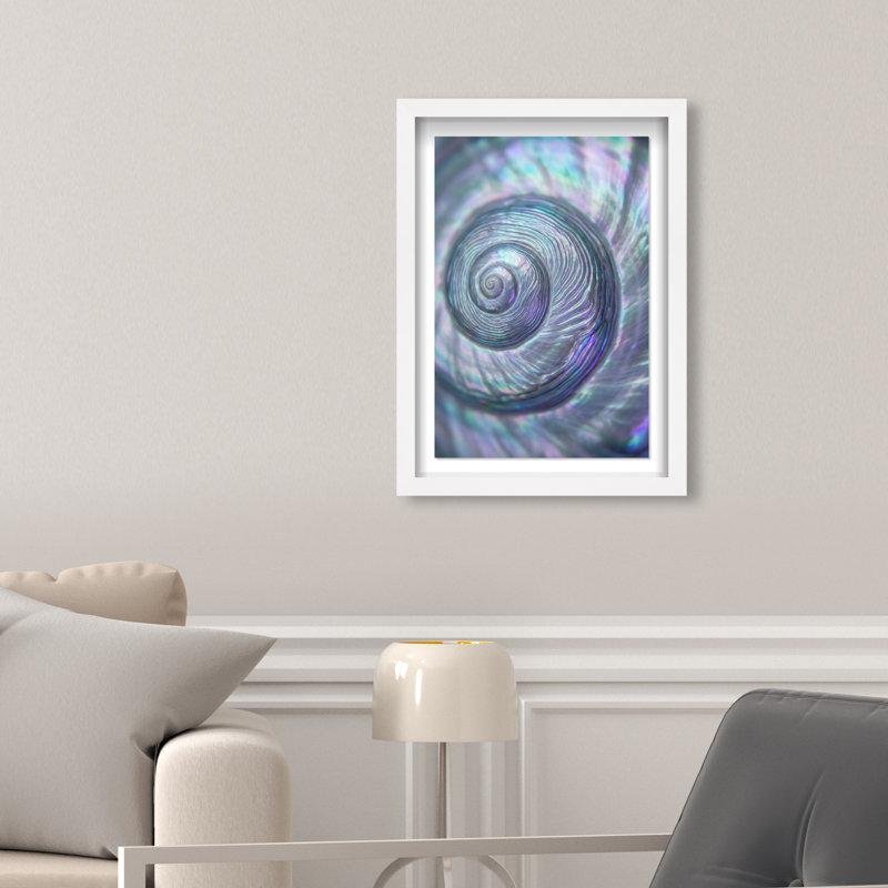 Sea Spiral Print by Oliver Gal, 25.5"H x 17.5"W, White Shadowbox
