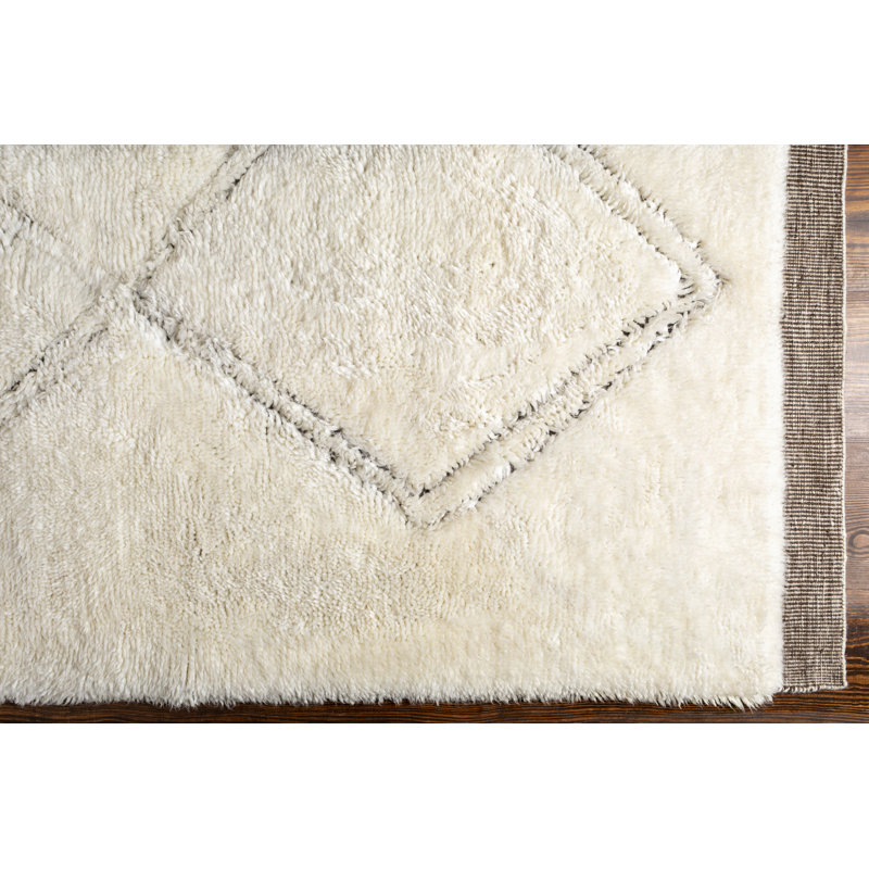 Meknes Hand Knotted Wool Area Rug, Rectangle 2' x 3'