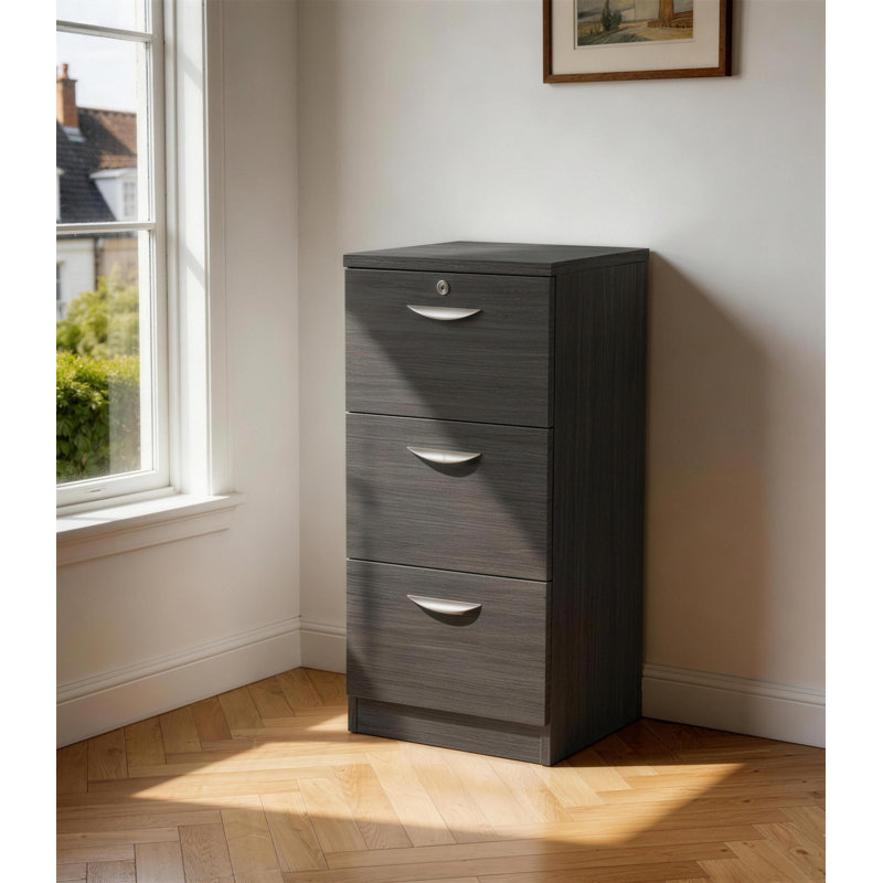 Effie 48cm Wide 3 -Drawer File Cabinet, Black Havana