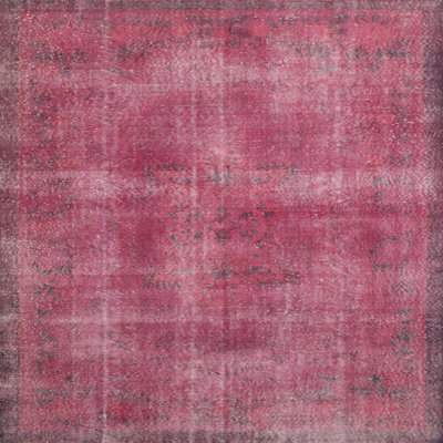 Oriental Indoor Rug