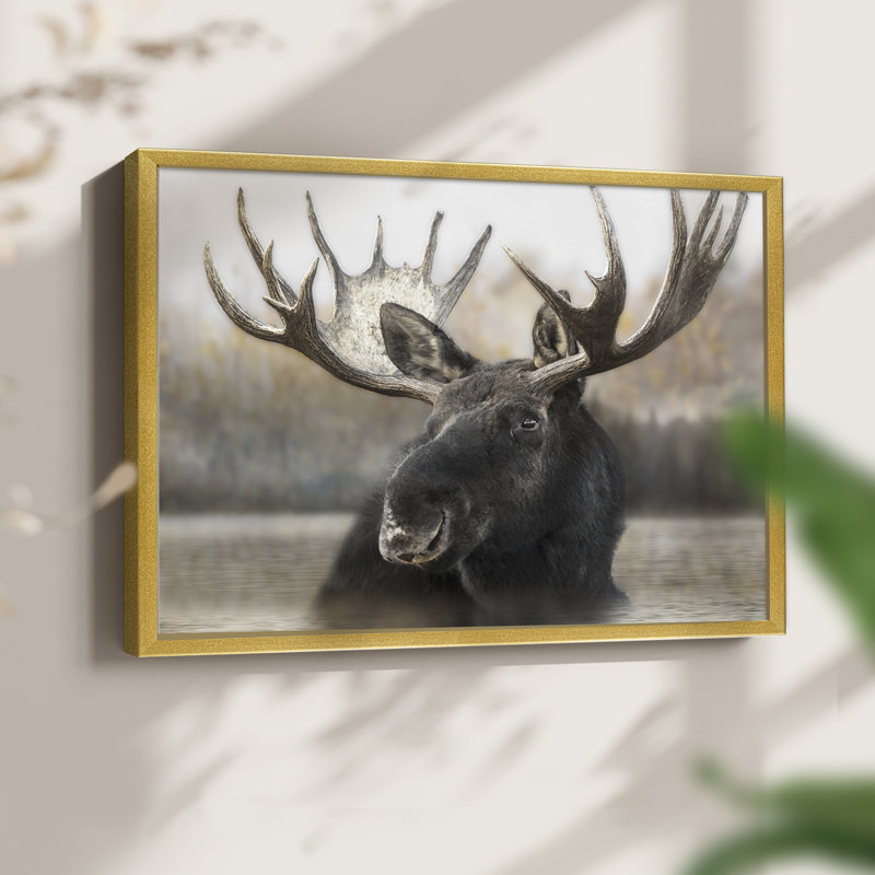 Moose Spa - reproduction encadrée - réarmable, H 16 po x l 20 po