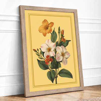 Classical Study Botanical - Framed Print