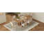 Ensemble de table de salle à manger extensible 7 pièces, table de cuisine avec rallonge amovible et 6 chaises de salle à manger rembourrées-103275327