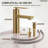 Single Hole Bathroom Faucet, Single Handle Bathroom Sink Faucet with Drain Assembly-113300765