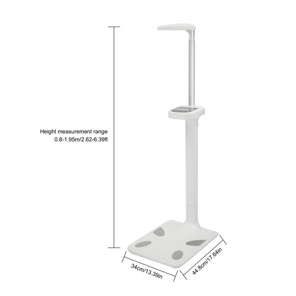 440lbs Physician Medical Body Weight Scale Medical Measure Height