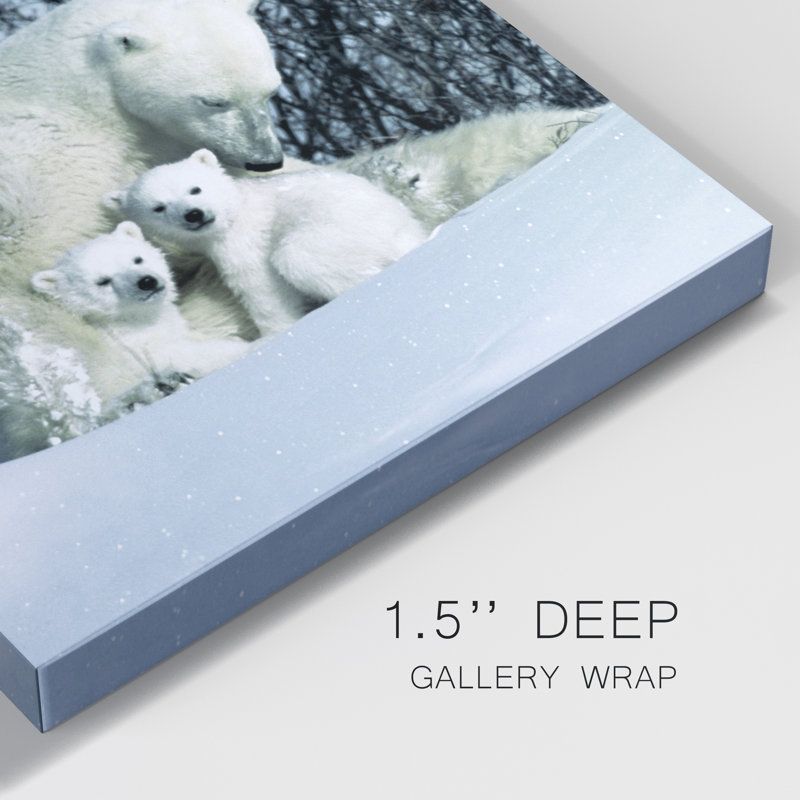 Winter Snuggle - Photographie sur toile tendue, H 32 po x l 32 po x P 1 po