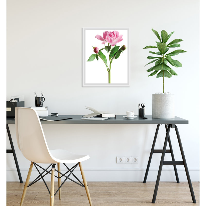 Rose - Single Picture Frame Print