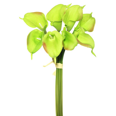 Paraiso Calla Lily Stems