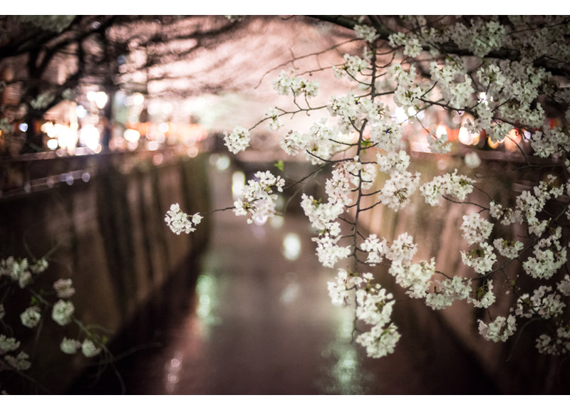 Reproduction de photo sur toile tendue tokoyo nuits-japan par scott barlow, H 24 po x l 32 po