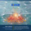 Blanket Round Solar Cover-9784720