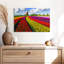 Ferme de tulipes pittoresque Alvord-108906563